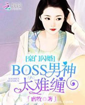 BOSS̫Ѳ